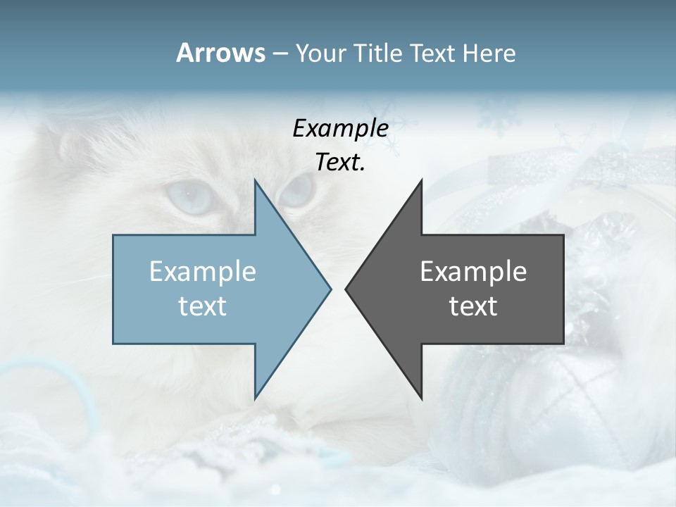 Winter Colour Presents PowerPoint Template