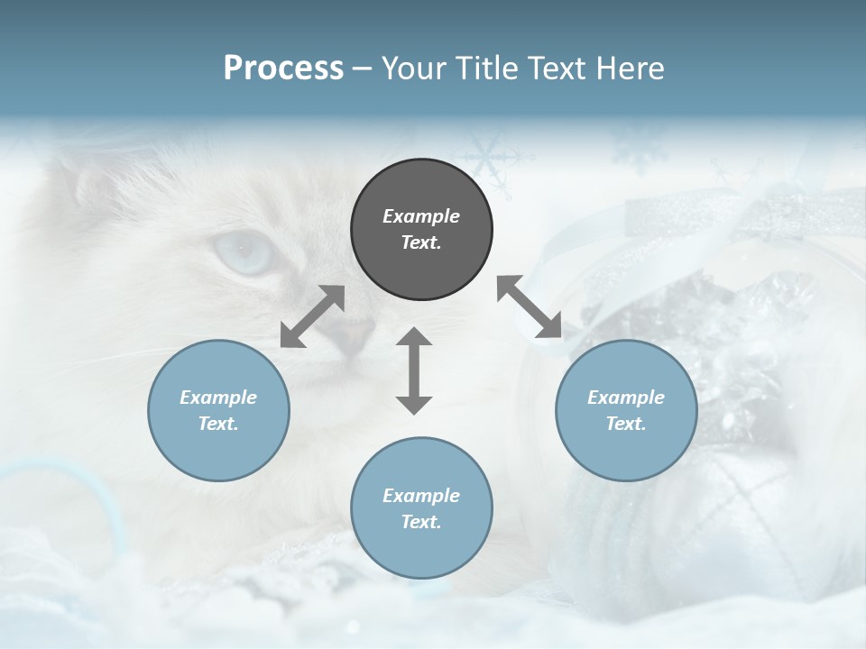 Winter Colour Presents PowerPoint Template