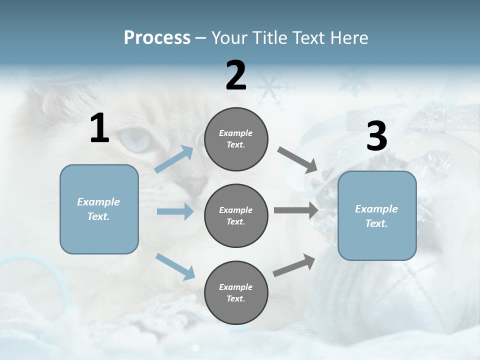 Winter Colour Presents PowerPoint Template