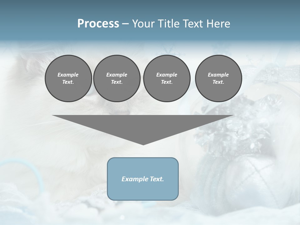 Winter Colour Presents PowerPoint Template