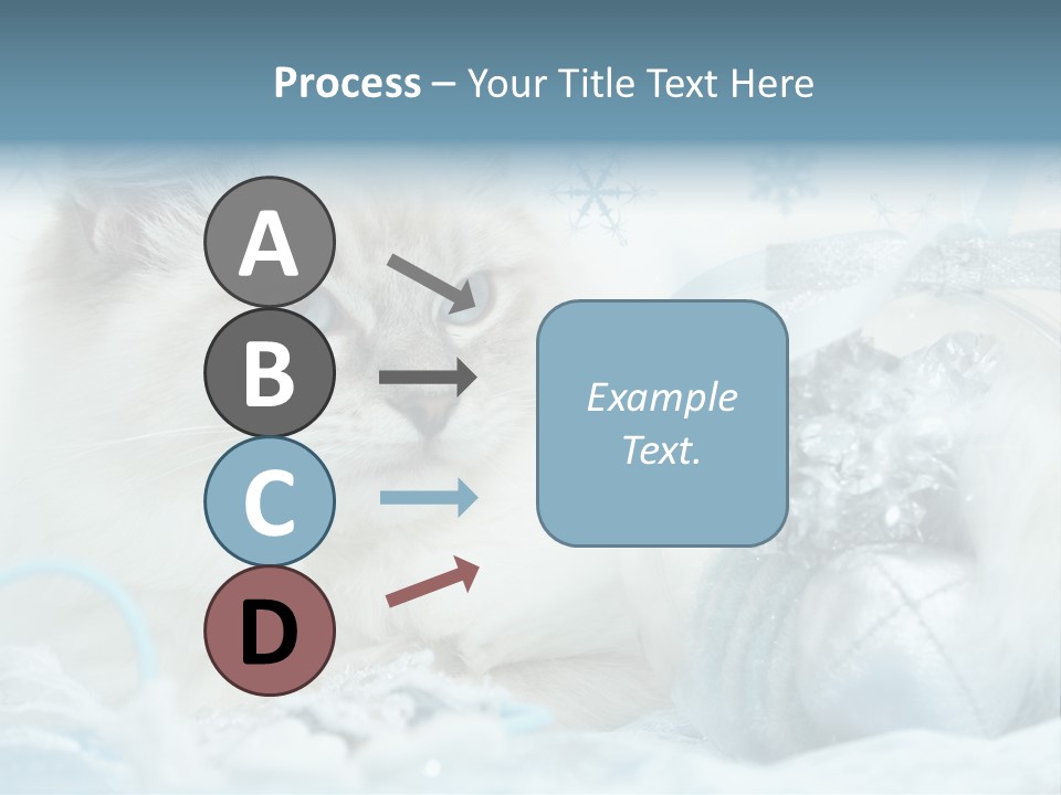 Winter Colour Presents PowerPoint Template