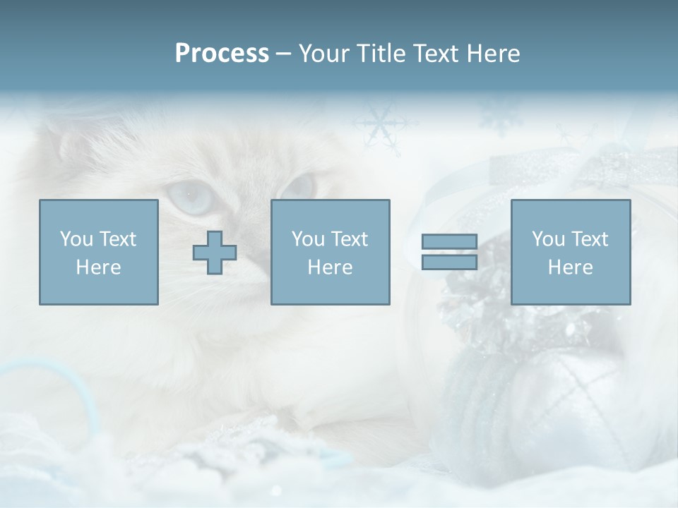 Winter Colour Presents PowerPoint Template
