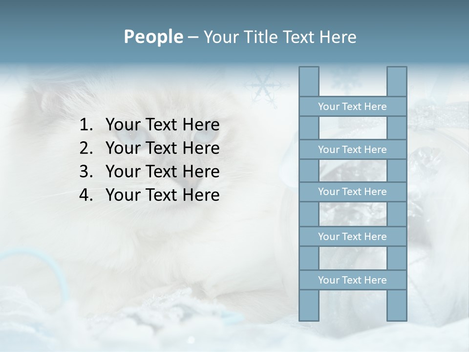 Winter Colour Presents PowerPoint Template