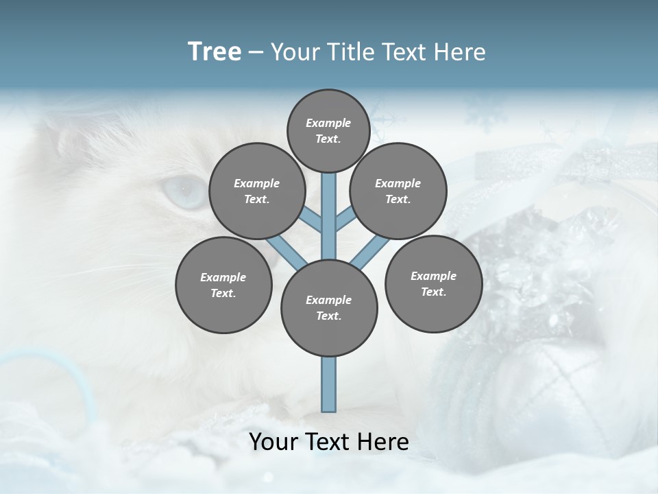 Winter Colour Presents PowerPoint Template
