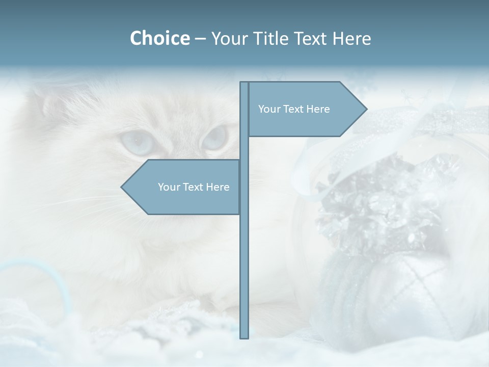 Winter Colour Presents PowerPoint Template
