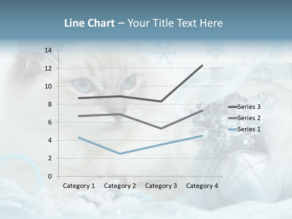 Winter Colour Presents PowerPoint Template