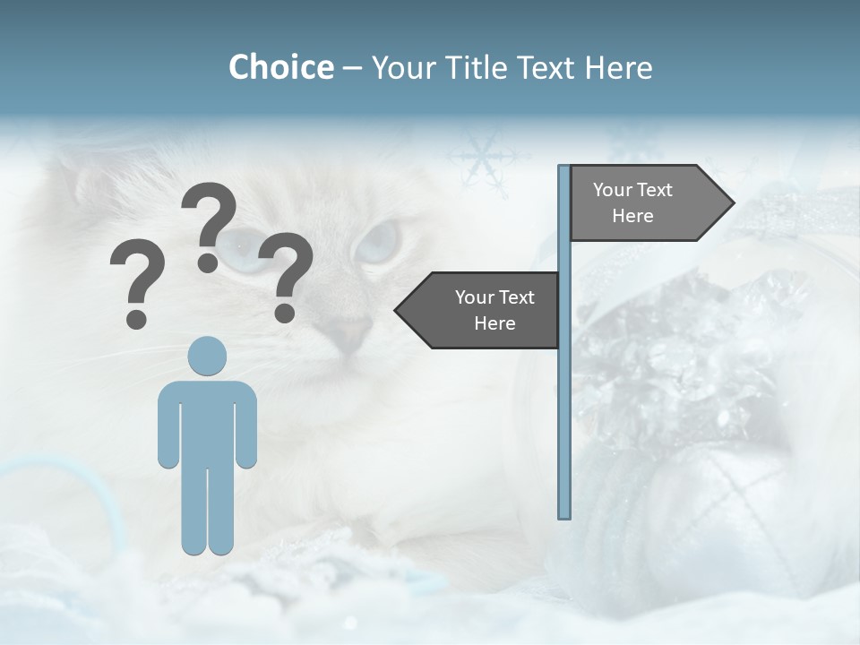 Winter Colour Presents PowerPoint Template