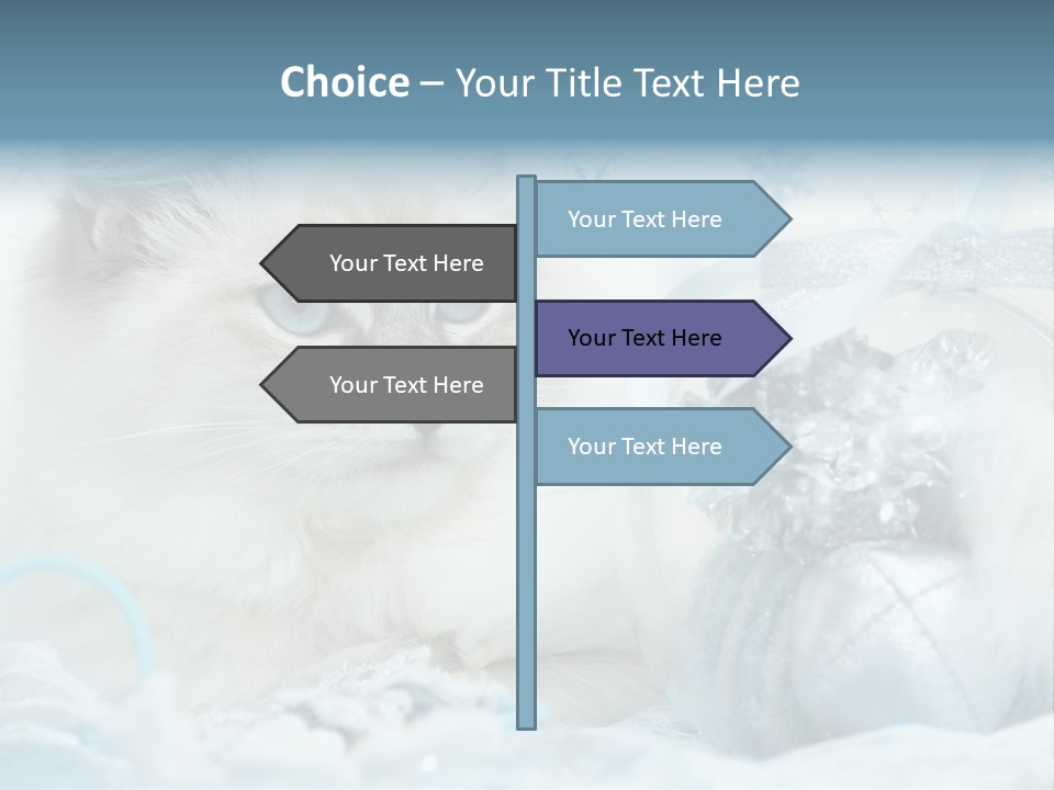 Winter Colour Presents PowerPoint Template