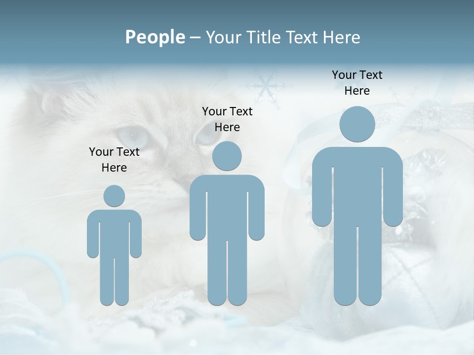 Winter Colour Presents PowerPoint Template