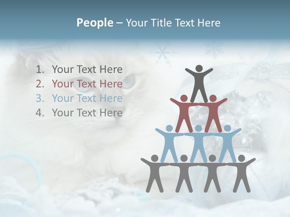 Winter Colour Presents PowerPoint Template
