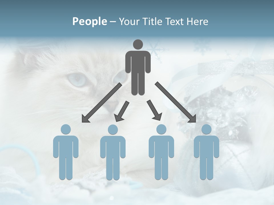 Winter Colour Presents PowerPoint Template