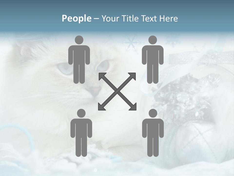 Winter Colour Presents PowerPoint Template