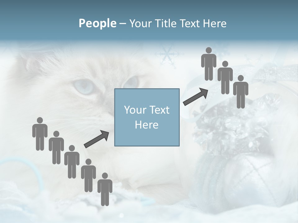 Winter Colour Presents PowerPoint Template