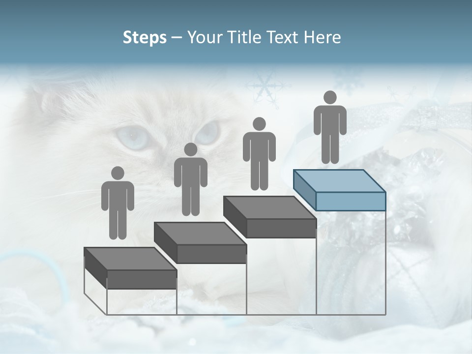 Winter Colour Presents PowerPoint Template