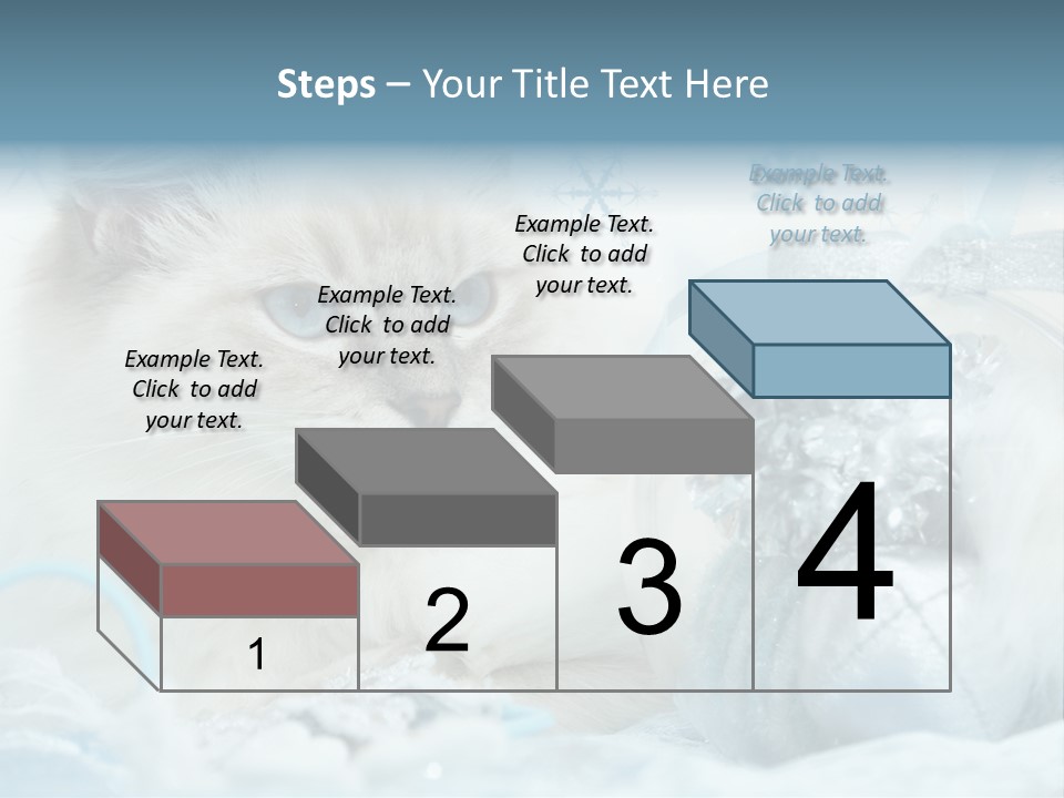 Winter Colour Presents PowerPoint Template
