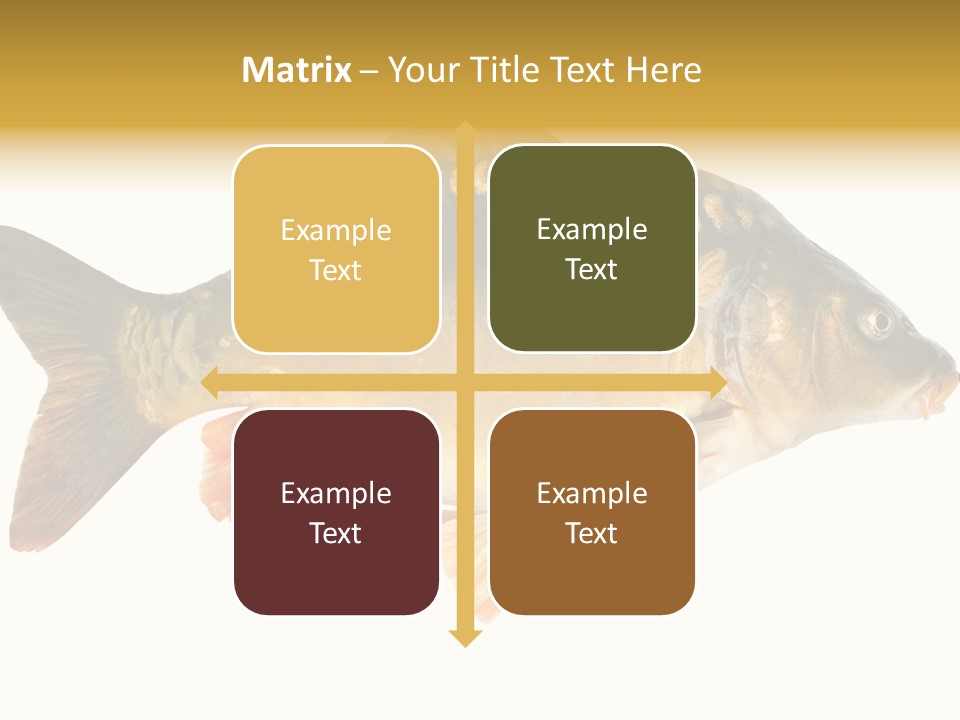 Close Up Food Catch PowerPoint Template