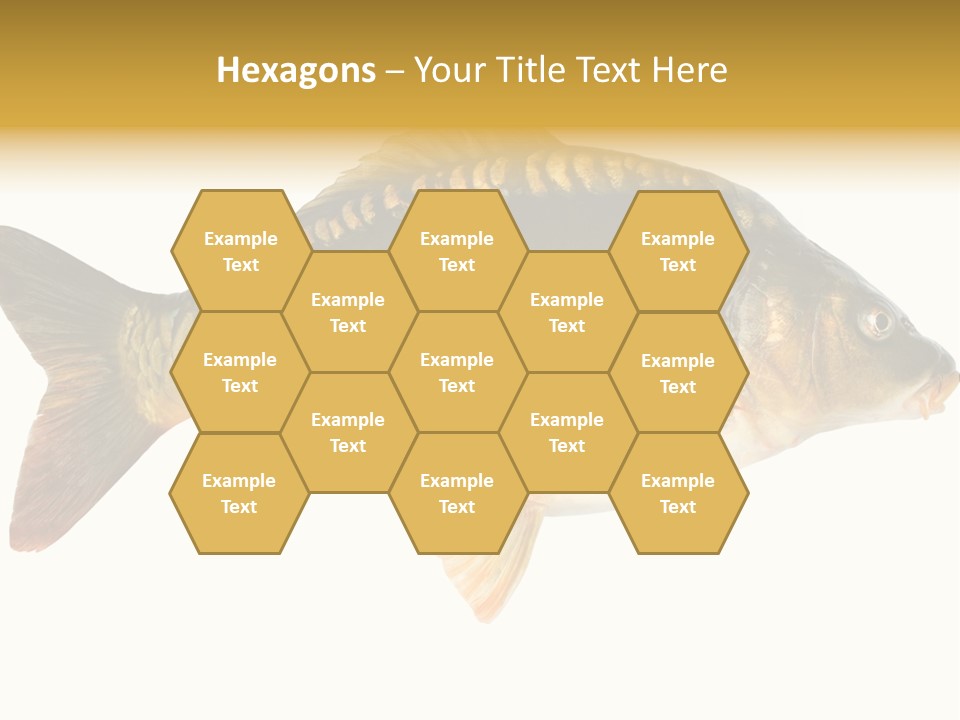 Close Up Food Catch PowerPoint Template