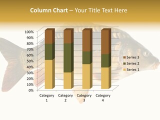 Close Up Food Catch PowerPoint Template