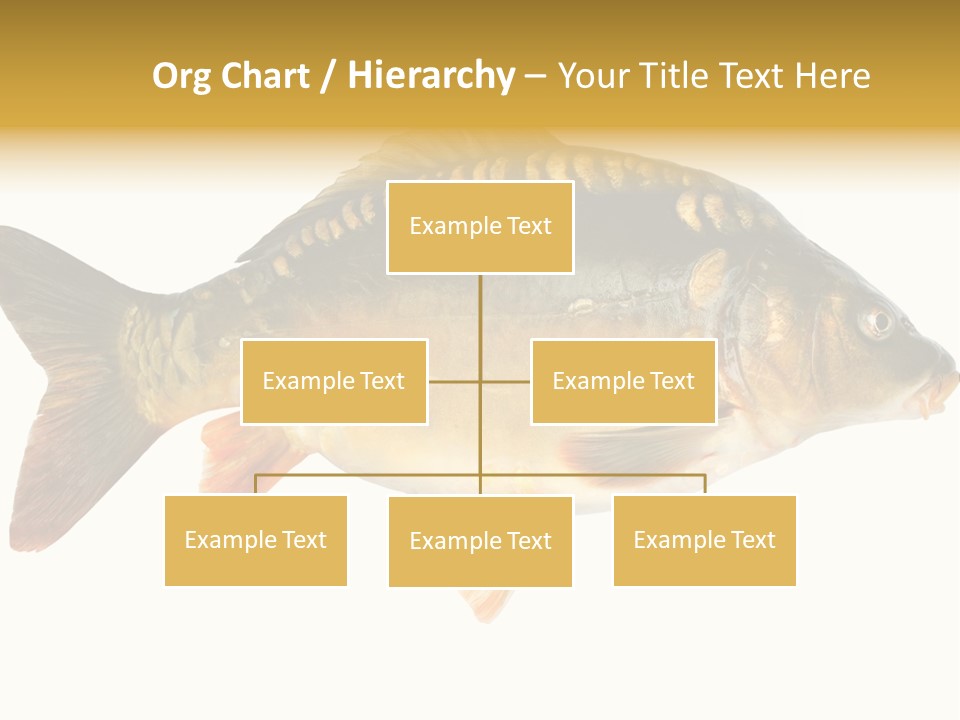 Close Up Food Catch PowerPoint Template