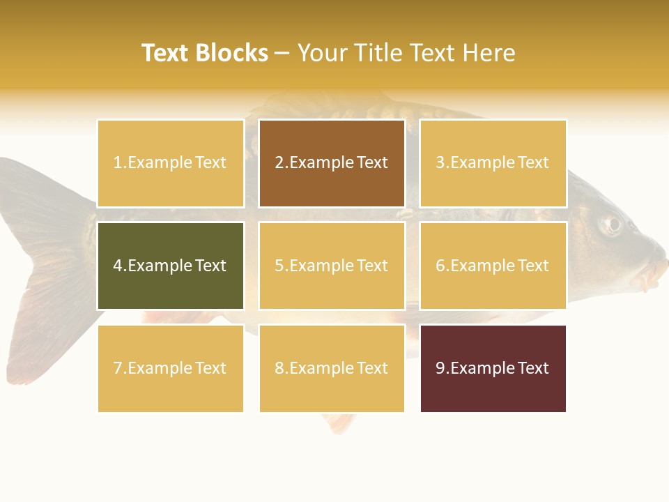 Close Up Food Catch PowerPoint Template