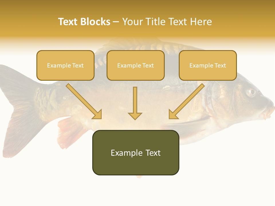 Close Up Food Catch PowerPoint Template