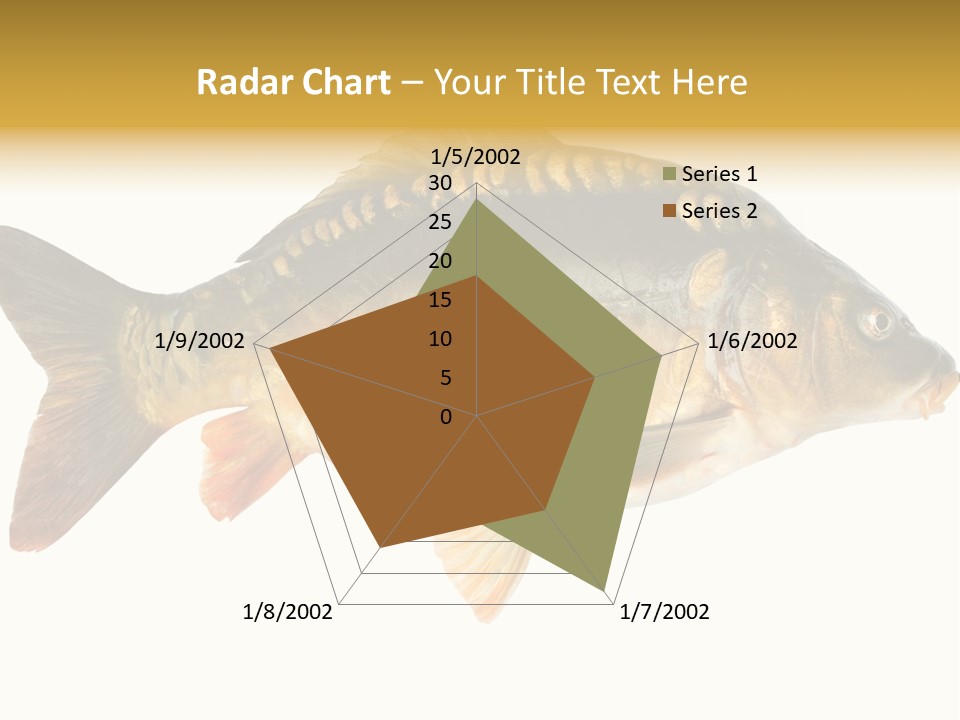 Close Up Food Catch PowerPoint Template