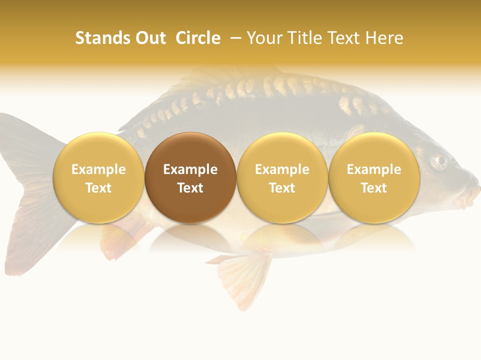 Close Up Food Catch PowerPoint Template