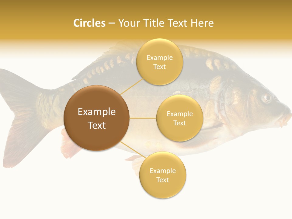 Close Up Food Catch PowerPoint Template