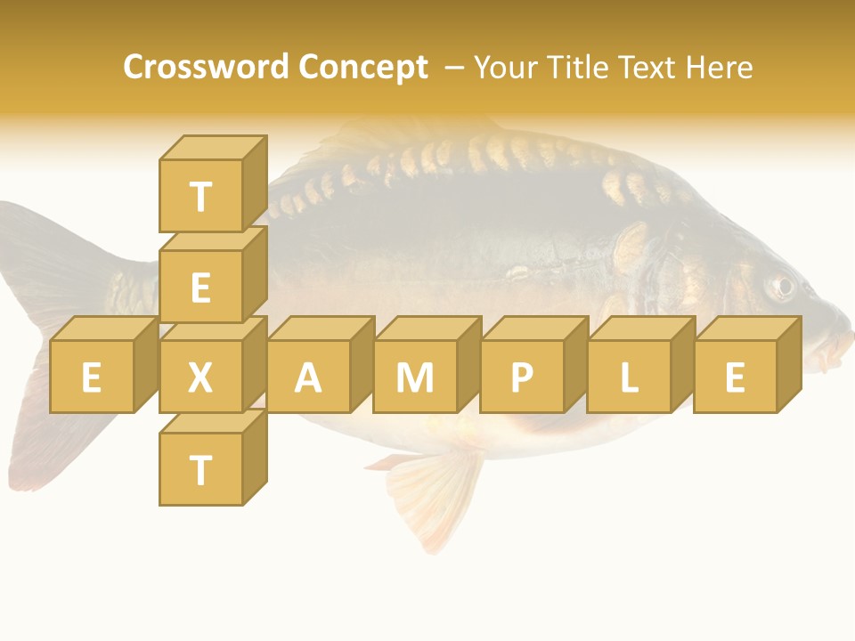 Close Up Food Catch PowerPoint Template