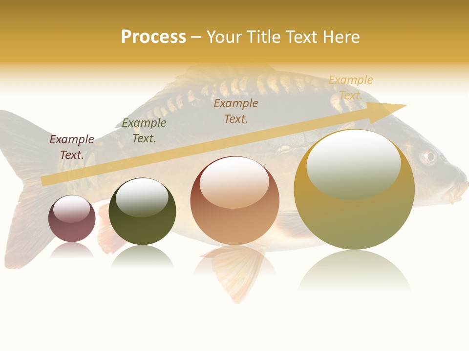 Close Up Food Catch PowerPoint Template