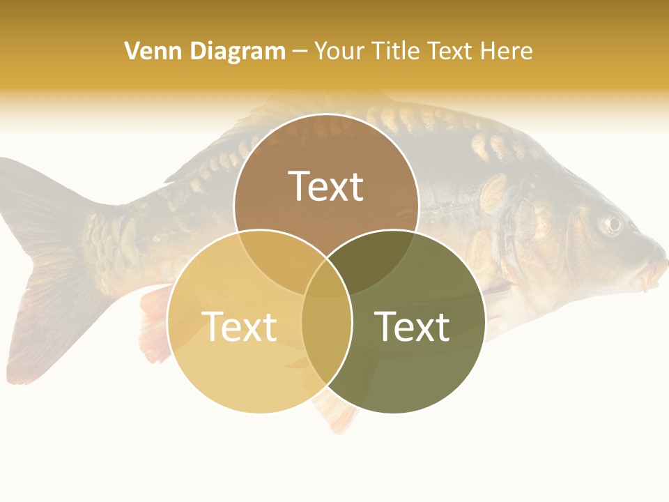 Close Up Food Catch PowerPoint Template