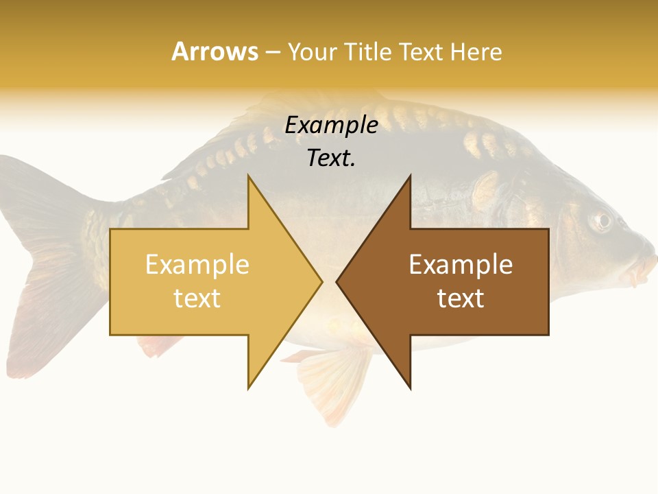 Close Up Food Catch PowerPoint Template