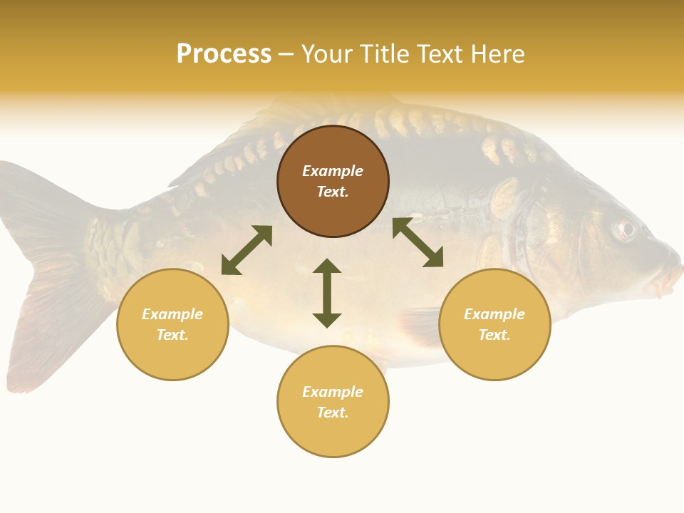 Close Up Food Catch PowerPoint Template