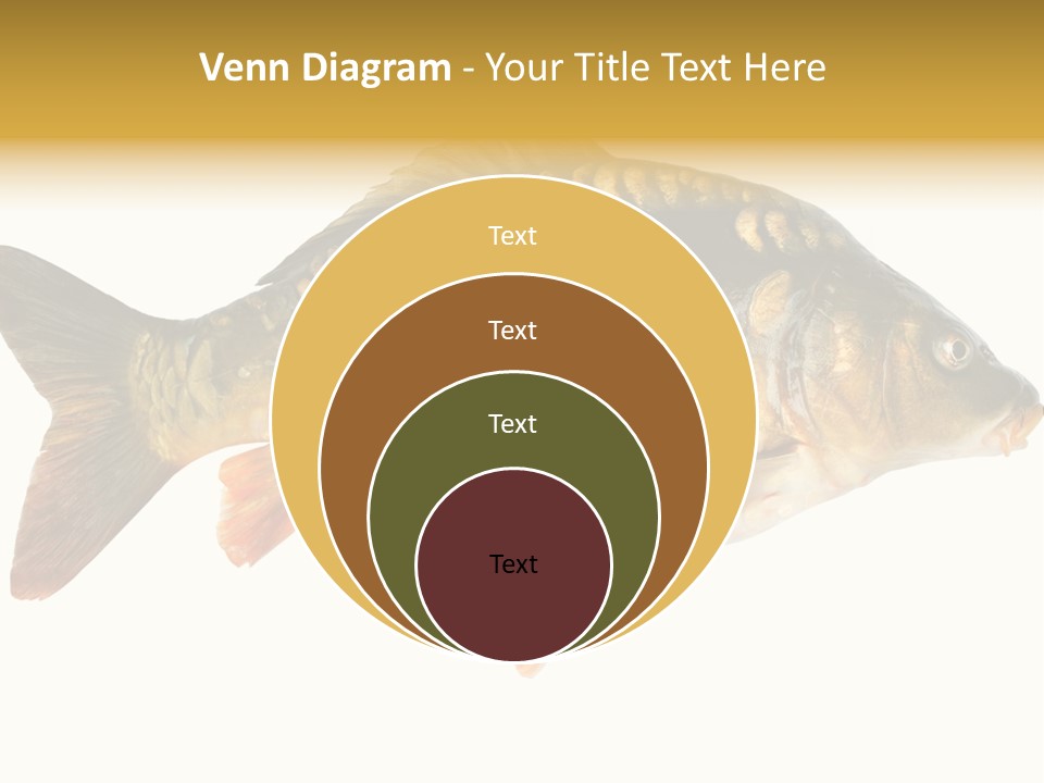 Close Up Food Catch PowerPoint Template