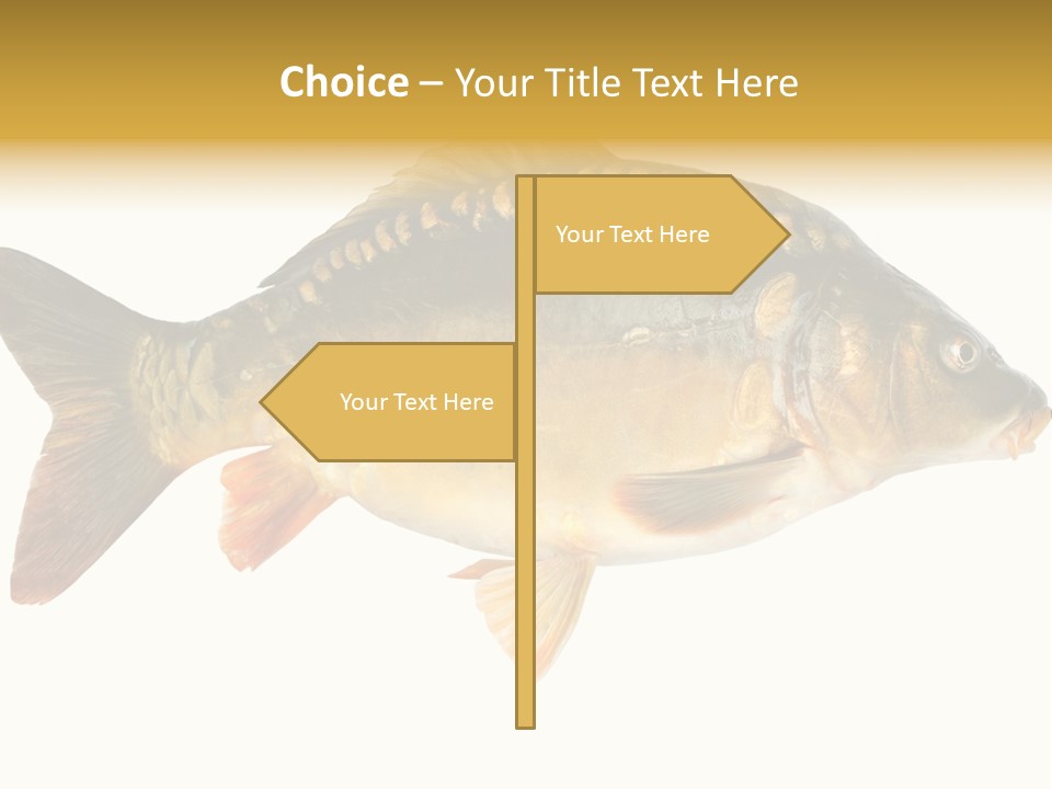 Close Up Food Catch PowerPoint Template