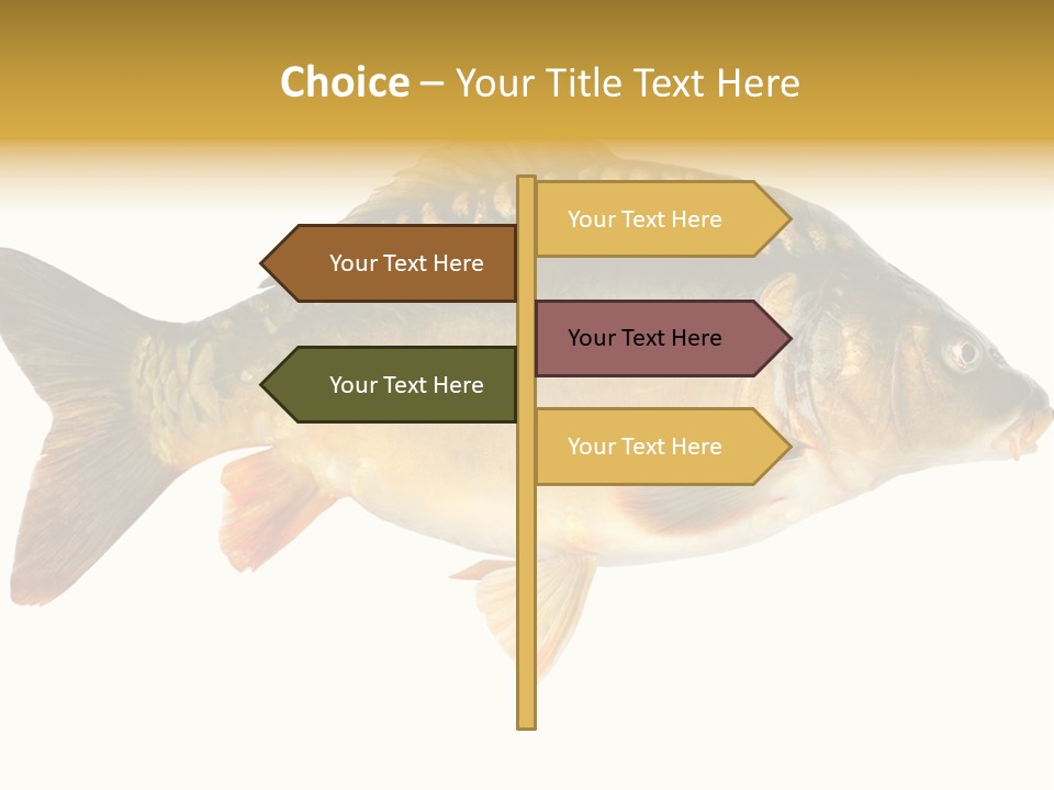 Close Up Food Catch PowerPoint Template