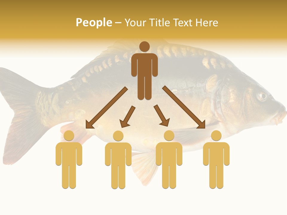 Close Up Food Catch PowerPoint Template