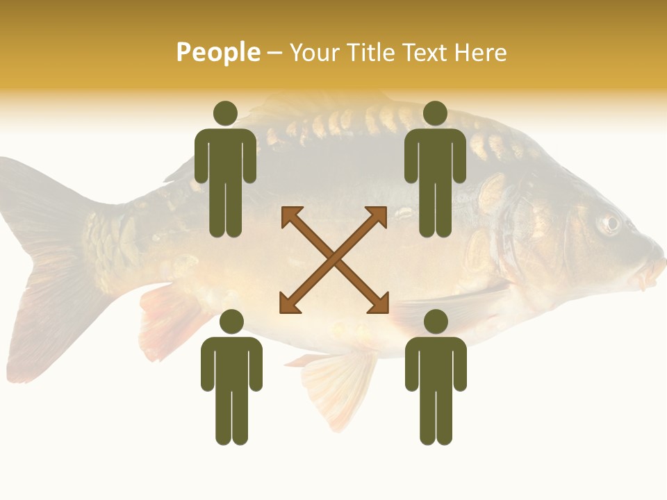 Close Up Food Catch PowerPoint Template