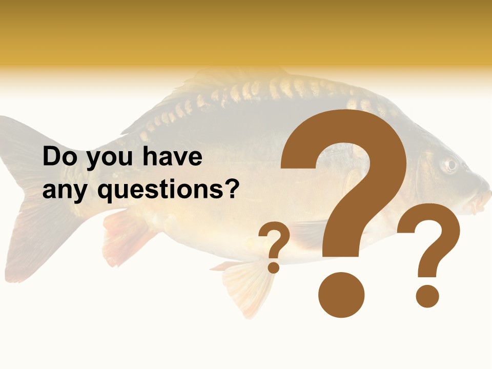 Close Up Food Catch PowerPoint Template