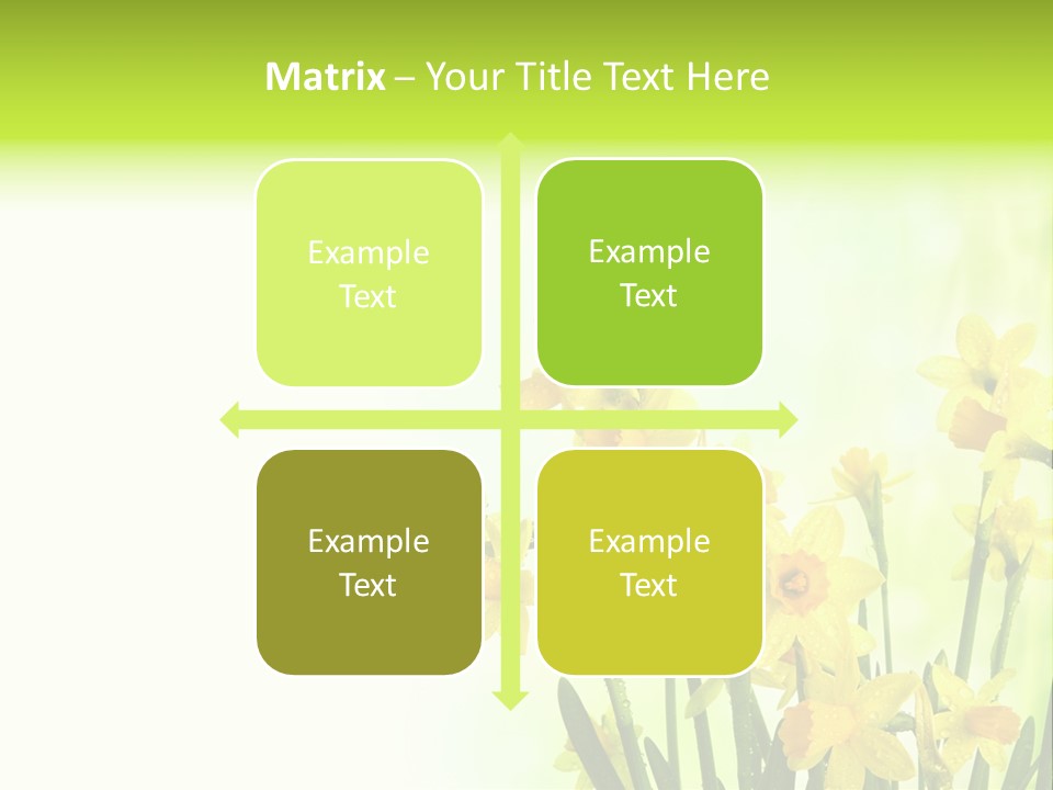 Narcissus Yellow Celebrate PowerPoint Template