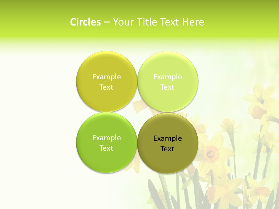 Narcissus Yellow Celebrate PowerPoint Template