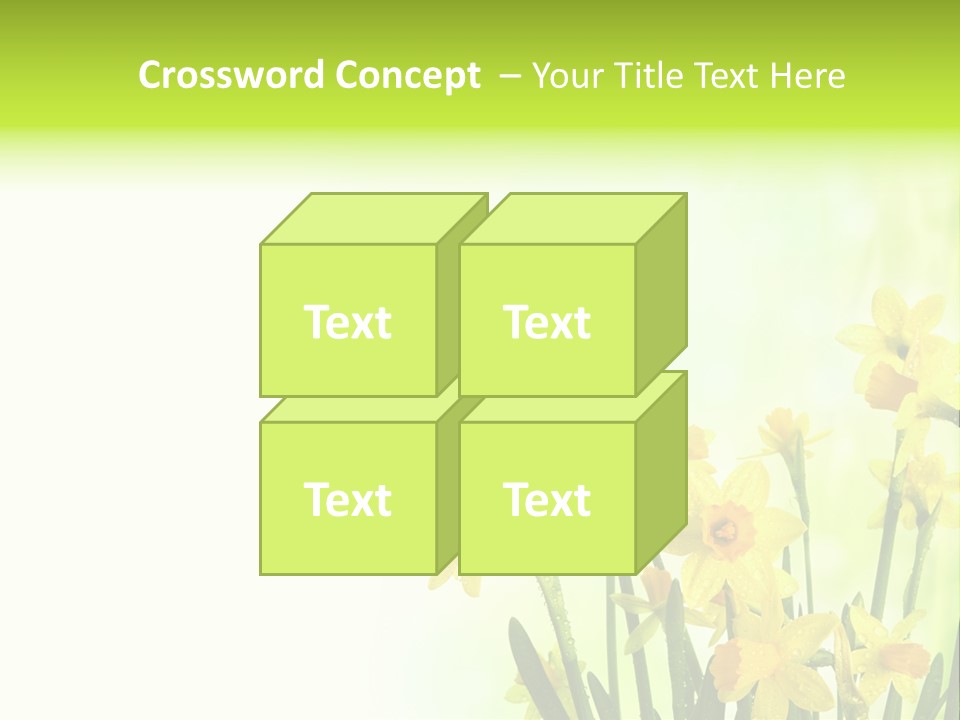 Narcissus Yellow Celebrate PowerPoint Template
