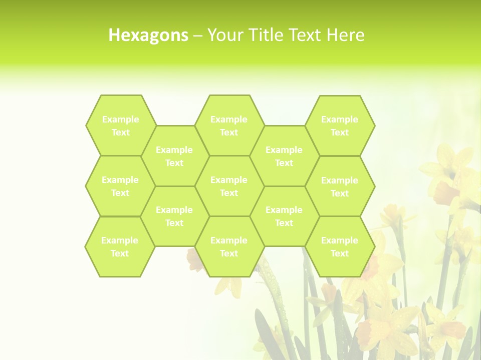 Narcissus Yellow Celebrate PowerPoint Template