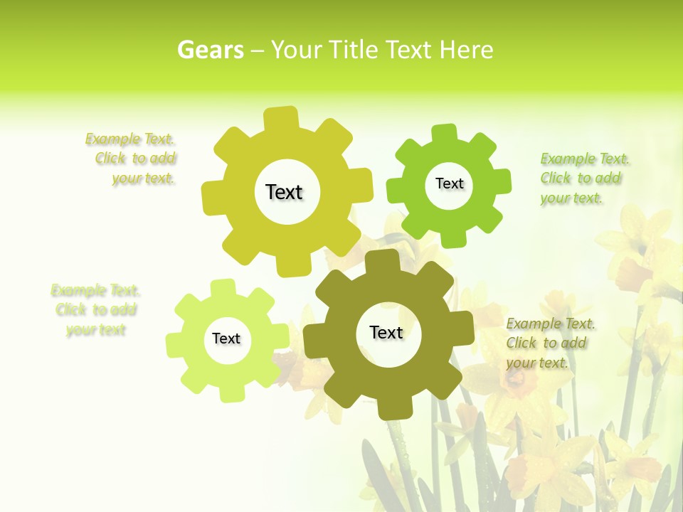 Narcissus Yellow Celebrate PowerPoint Template