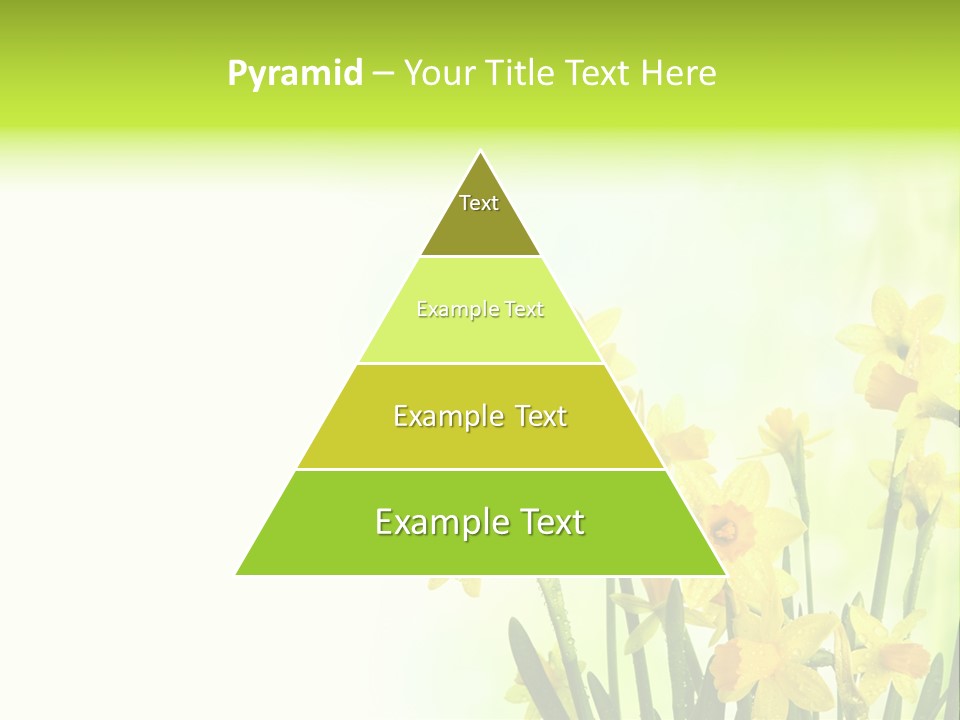 Narcissus Yellow Celebrate PowerPoint Template