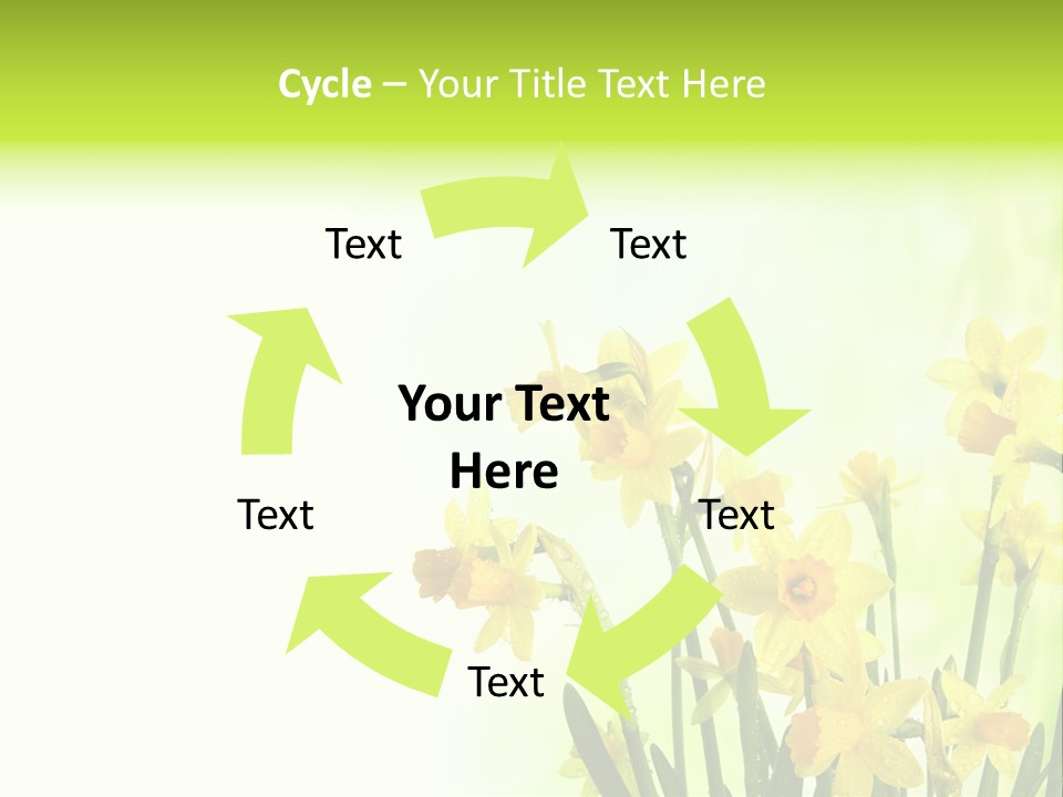 Narcissus Yellow Celebrate PowerPoint Template