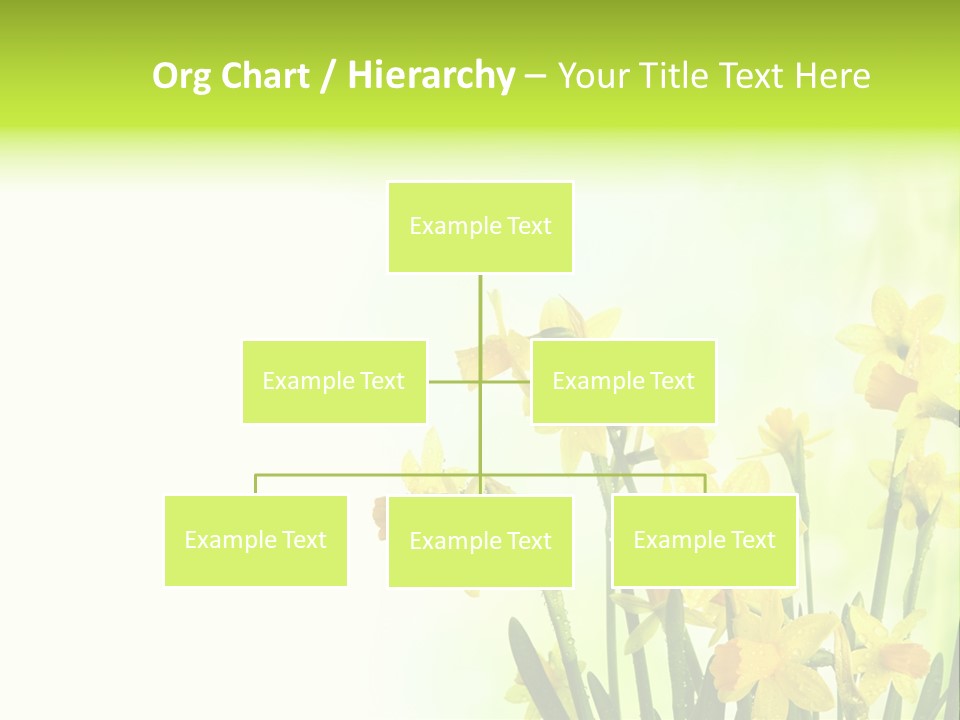 Narcissus Yellow Celebrate PowerPoint Template