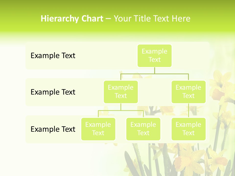 Narcissus Yellow Celebrate PowerPoint Template