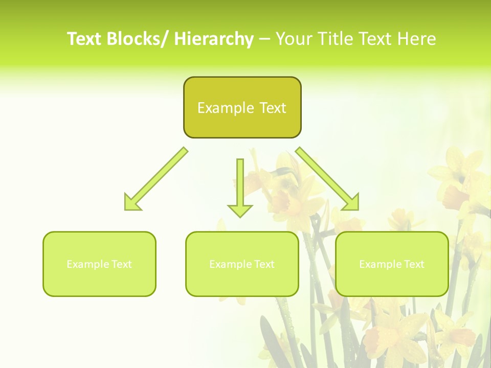 Narcissus Yellow Celebrate PowerPoint Template