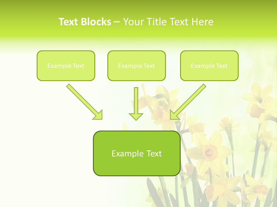Narcissus Yellow Celebrate PowerPoint Template